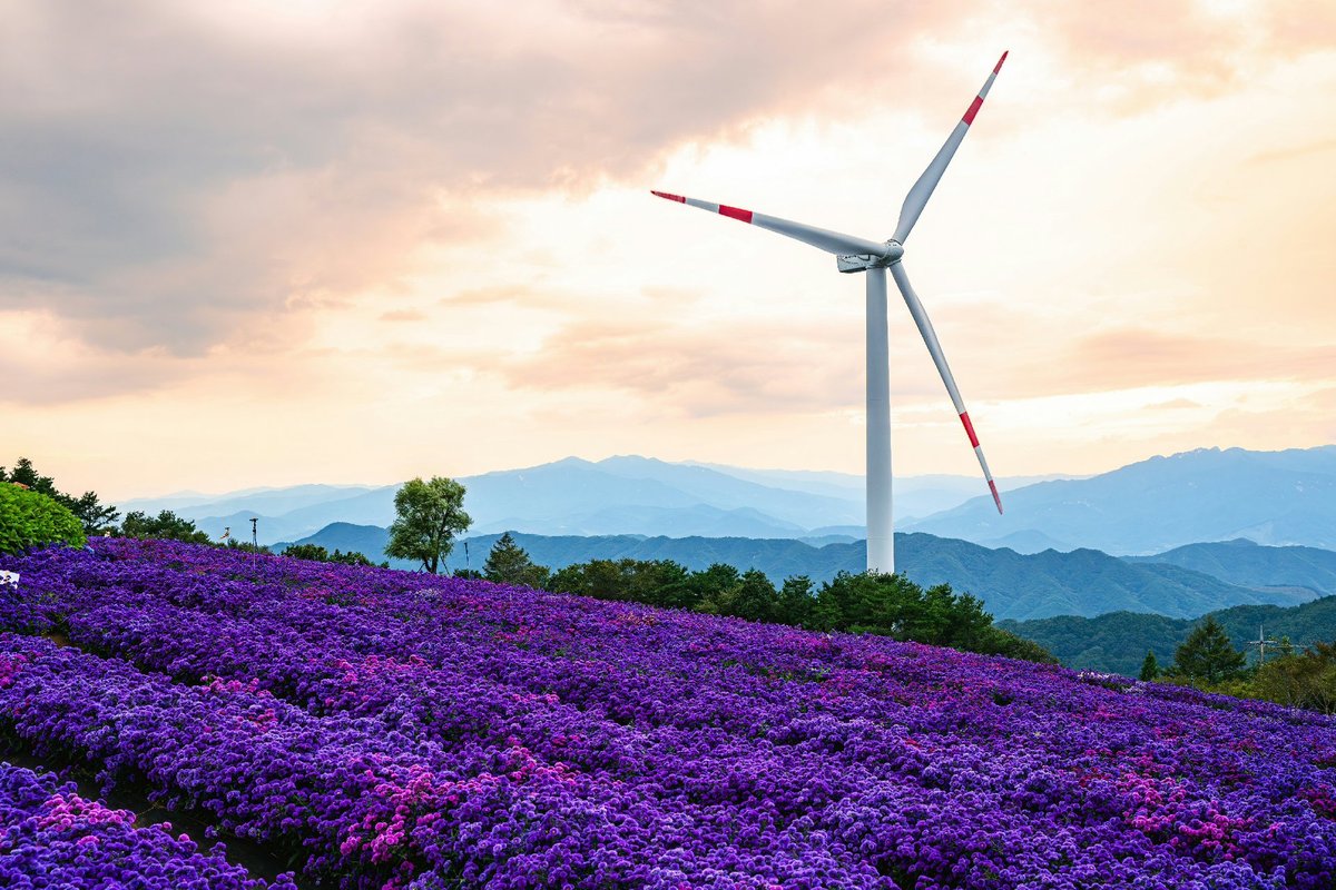 가을을 알리는 아름다운 장소