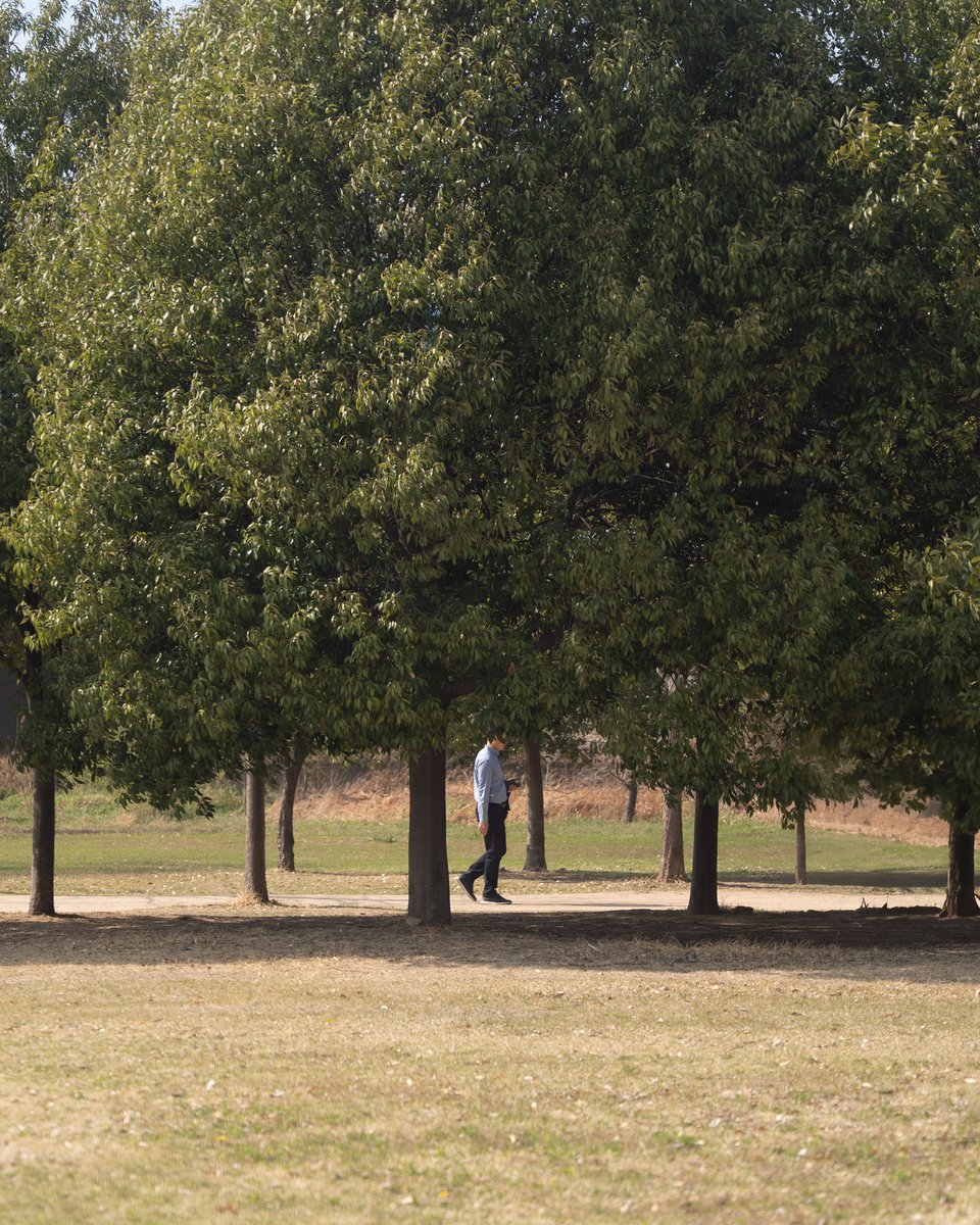 화명생태공원 사진 스팟